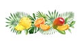 Watercolor tropical fruits. Horizontal border with orange, ananas, mango fruits and palm leaves. Botanical realistic