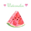 Watercolor tropical illustration with watermelon on a white background