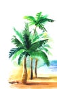 Watercolor tropical landscape. Three blurry palms with wide green leaves on sandy coast of turquoise sea against white background Royalty Free Stock Photo