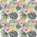 Watercolor Tropical leaf print with white background. Trendy summer botanical floral seamless pattern Royalty Free Stock Photo