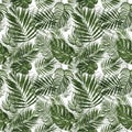 Watercolor tropical leaves botanical seamless pattern with plants. Beautiful green repeat print. Royalty Free Stock Photo