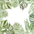 Watercolor tropical leaves and branches on white background with space for text. Exotic green plants frame Royalty Free Stock Photo