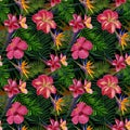Watercolor tropical leaves and flowers seamless pattern. Royalty Free Stock Photo