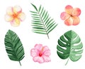 Watercolor tropical leaves and flowers set isolated on white background Royalty Free Stock Photo