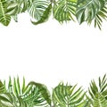 Watercolor tropical leaves and plants border. Hand painted summer exotic greenery and foliage on white background Royalty Free Stock Photo