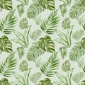 Watercolor tropical leaves and plants seamless pattern. Exotic green palm leaves, monstera leaf on light green background. Royalty Free Stock Photo