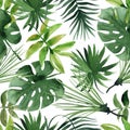 Watercolor tropical leaves seamless Royalty Free Stock Photo