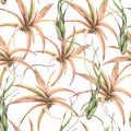 Watercolor tropical leaves seamless pattern. Air plant Tillandsia botanical texture. Succulent terrarium plants