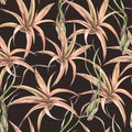 Watercolor tropical leaves seamless pattern. Air plant Tillandsia botanical texture. Succulent terrarium plants Royalty Free Stock Photo