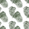 Watercolor tropical leaves seamless pattern. Exotic green palm foliage on white background. rainforest illustration Royalty Free Stock Photo