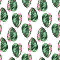 Watercolor tropical leaves seamless pattern. Philodendron pink princess