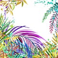 Watercolor Tropical nature background, watercolor summer floral background