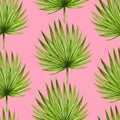 Watercolor tropical palm leaves seamless pattern. Royalty Free Stock Photo