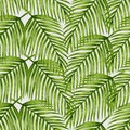 Watercolor tropical palm leaves seamless pattern. Royalty Free Stock Photo