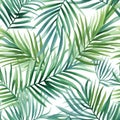 Watercolor tropical palm leaves seamless pattern. Vector illustration. Royalty Free Stock Photo