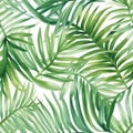 Watercolor tropical palm leaves seamless pattern. Vector illustration. Royalty Free Stock Photo