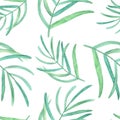Watercolor tropical palm leaves seamless pattern on white background Royalty Free Stock Photo