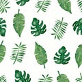 Watercolor tropical palm,monstera leaves seamless pattern Royalty Free Stock Photo