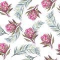 Watercolor tropical pattern. Fabric design. Exotic flower protea. Textiles print. Botanical illustration. Royalty Free Stock Photo