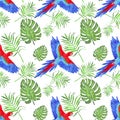 Watercolor tropical pattern parrot macaw leaves monstera and palm