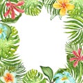 Watercolor tropical plants frame with green exotic plants, leaves and flowers. Summer border design Royalty Free Stock Photo