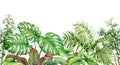 Watercolor Tropical Plants Seamless Border Royalty Free Stock Photo