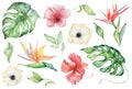 Watercolor tropical plants set. Exotic flowers, monstera and palm leaves