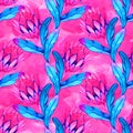 Watercolor tropical protea flower pattern, Australian flower, bright colorful exotic pattern on a white background Royalty Free Stock Photo