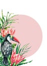 Watercolor tropical protea and toucan card. Hand painted bird and flowers isolated on white background. Nature botanical Royalty Free Stock Photo