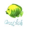 Watercolor tropical Sea Fish of coral reefs  yellow green color and lettering Coral fish isolated on white background. Royalty Free Stock Photo