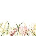 Watercolor tropical seamless border with kelp and laminaria. Hand painted underwater illustration with algae leaves and