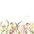 Watercolor tropical seamless border with underwater animals and laminaria. Hand painted illustration with kelp and coral