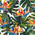 Watercolor tropical seamless pattern with bird-of-paradise flower, monstera, palm leaf.