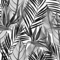 Watercolor tropical seamless pattern with bird-of-paradise flower, palm leaves in black and white colors Royalty Free Stock Photo