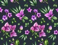 Watercolor tropical seamless pattern. Bougainvillea flowers, orchids and palm leaves isolated on dark grey. Botanical