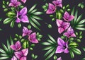 Watercolor tropical seamless pattern. Bougainvillea tree in bloom and palm leaves isolated on black. Botanical hand