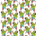 Watercolor tropical seamless pattern with bright green parrot on the tree branch isolated on the white background
