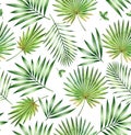 Watercolor tropical seamless pattern. Exotic palm, fan, coconut leaves isolated on white. Exotic foliage. Botanical hand