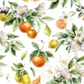 Watercolor tropical seamless pattern of gold linear flowers, lemons, oranges and leaves. Hand painted branch of fruits Royalty Free Stock Photo