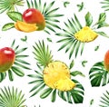 Watercolor tropical seamless pattern. Mango an ananas fruits. Exotic fruits and palm leaves isolated on white. Botanical Royalty Free Stock Photo