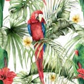 Watercolor tropical seamless pattern with parrots, hibiscus and plumeria. Hand painted birds, flowers and palm leaves Royalty Free Stock Photo