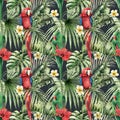 Watercolor tropical seamless pattern with parrots, plumeria and hibiscus. Hand painted birds, flowers and palm leaves Royalty Free Stock Photo