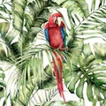 Watercolor tropical seamless pattern with red parrot and palm leaves. Hand painted birds and jungle tree leaves. Floral