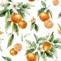 Watercolor tropical seamless pattern of ripe oranges, leaves and flowers. Hand painted branch of fruits isolated on Royalty Free Stock Photo