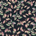 Watercolor tropical seamless pattern with tradescantia twigs