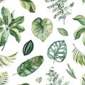 Pattern with green leaves,branches,palm leaf