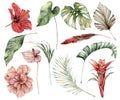 Watercolor tropical set with flowers and leaves. Hand painted hibiscus, monstera, anthurium, guzmania and palm twigs Royalty Free Stock Photo