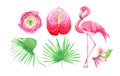 Watercolor tropical set with flowers, palm leaves and flamingo isolated on white background Royalty Free Stock Photo