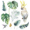 Tropical watercolor sticker pack Royalty Free Stock Photo