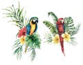 Watercolor tropical set with parrots and flowers bouquet. Hand drawn birds, plumeria and hibiscus. Floral label isolated